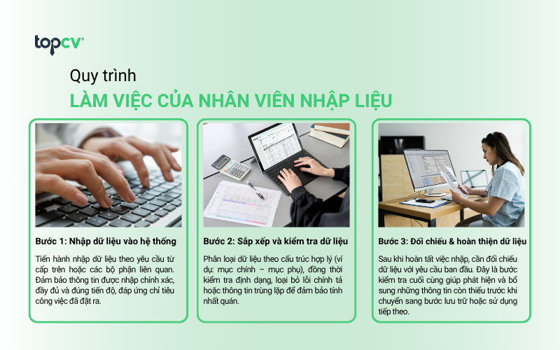 Quy trình làm việc của Nhân viên nhập liệu